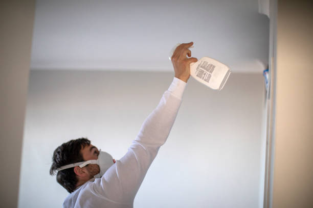 Best Residential Mold Remediation in Harrisburg, IL