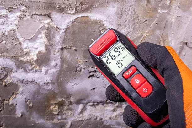 Best Localized Mold Remediation (e.g., coastal areas, humid climates) in Harrisburg, IL