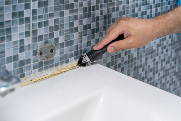 Best Black Mold Remediation in Harrisburg, IL